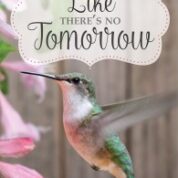 Featured Book: Like There’s No Tomorrow