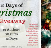 12 Days of Christmas Giveaway—Day 2
